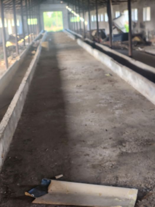 Vând sau Închiriez Ferma Animale