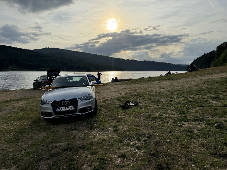 Audi A1 1.6 Diesel 2011, cutie manuala