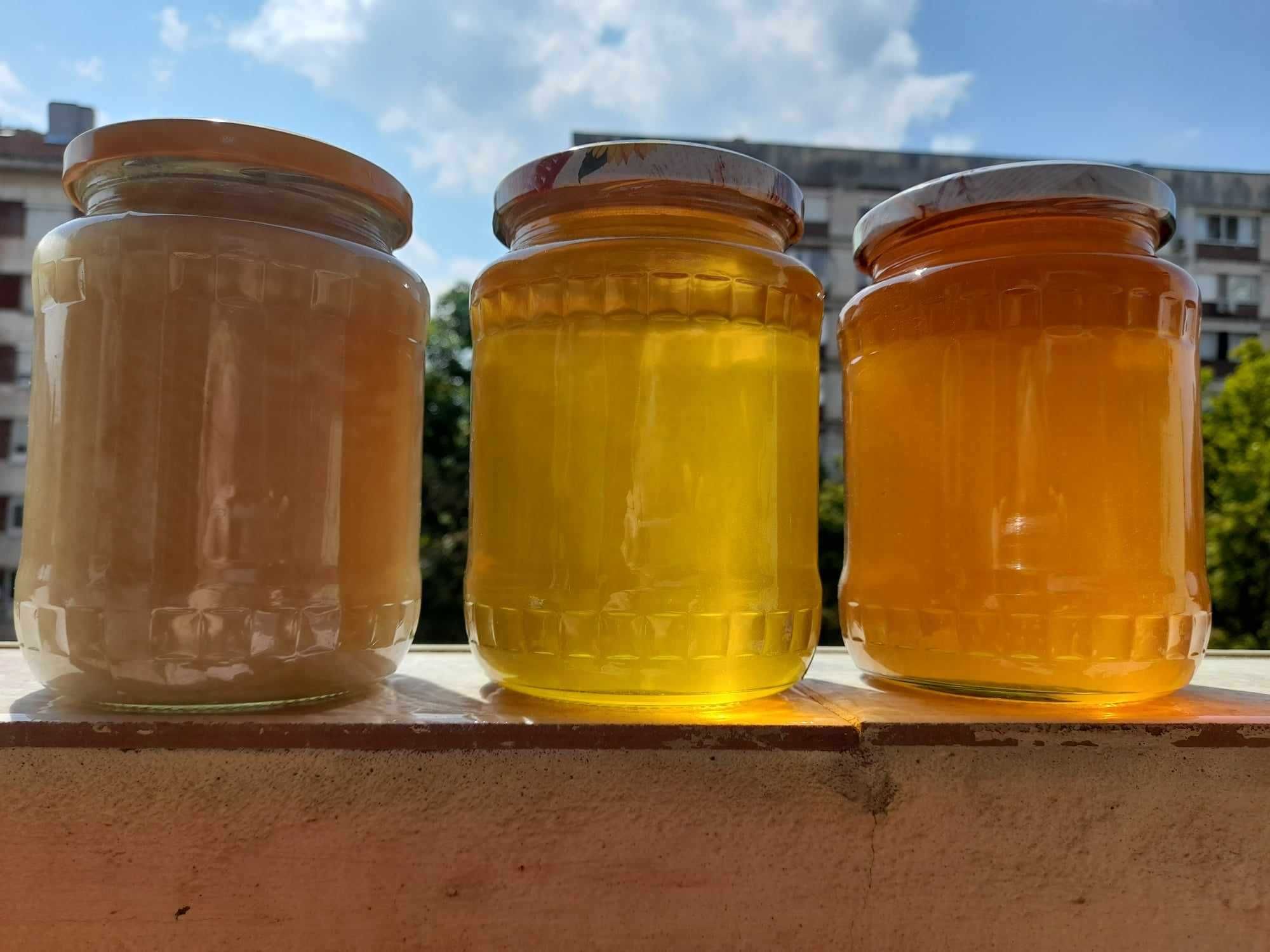 Пчелен мед от производител 2023г