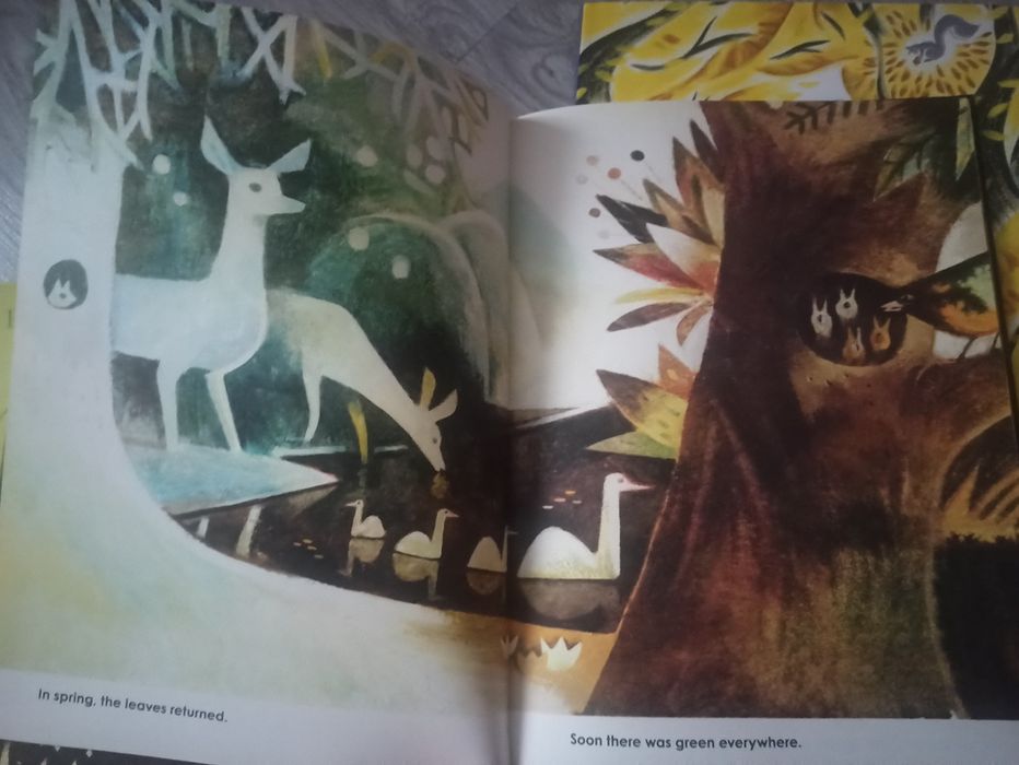 Lot 5 cărți cartonate lb engleza