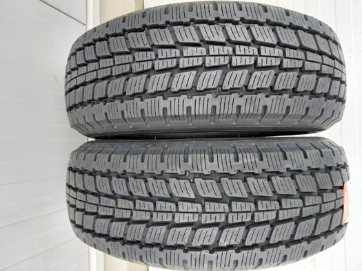 205/65 R15C, 102T, PETLAS PT925, Anvelope mixte M+S