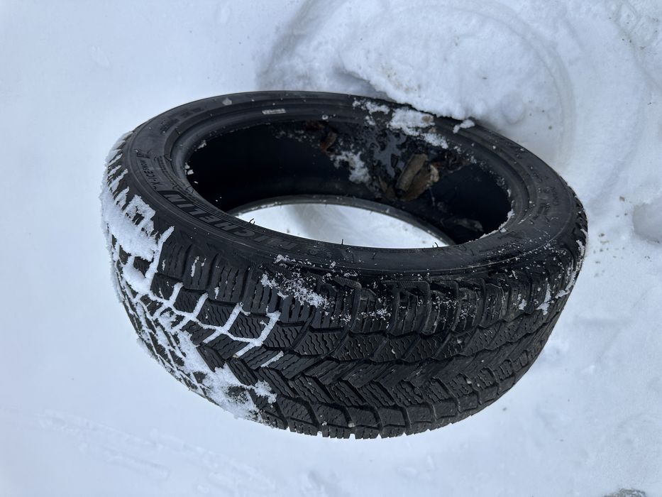 Шины зимние Michelin
