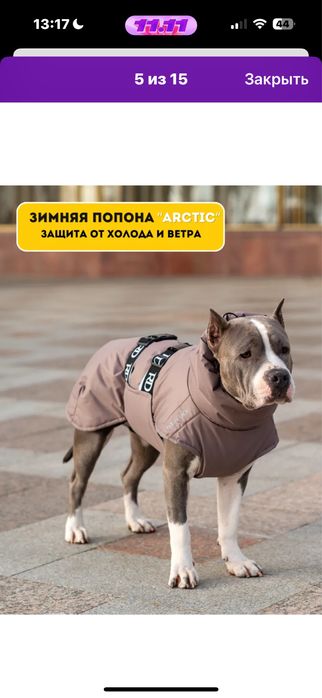 попона для собак куртка доя собак