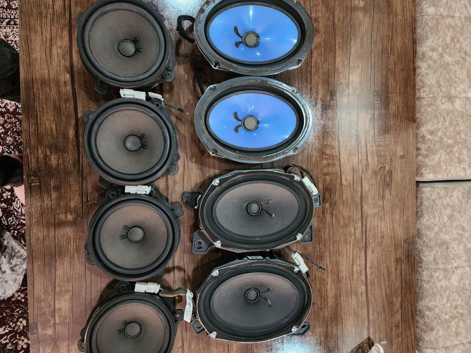 Captiva kalonka         .