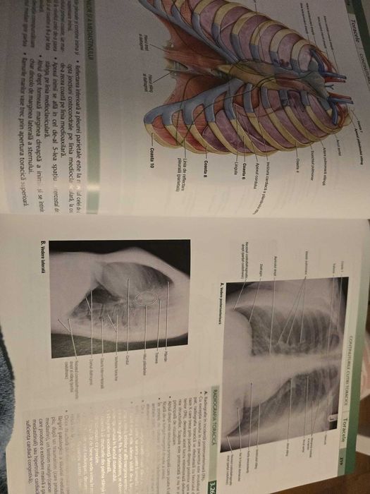 Atlas Grant Medicina 300 RON