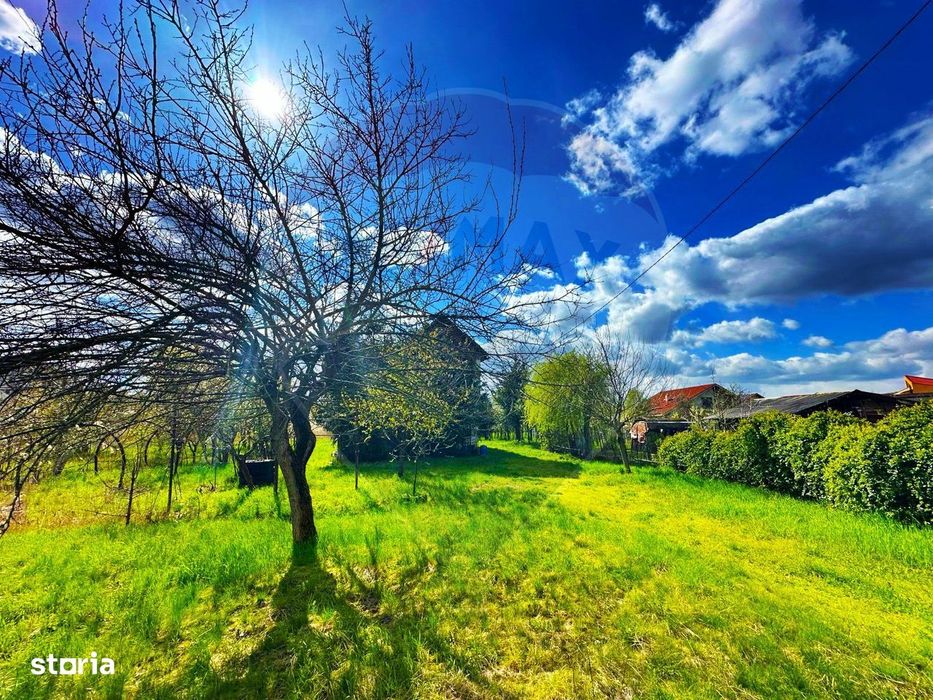 Zona Premium-Teren Pentru Constructie Blocuri/Locuinte Mixte