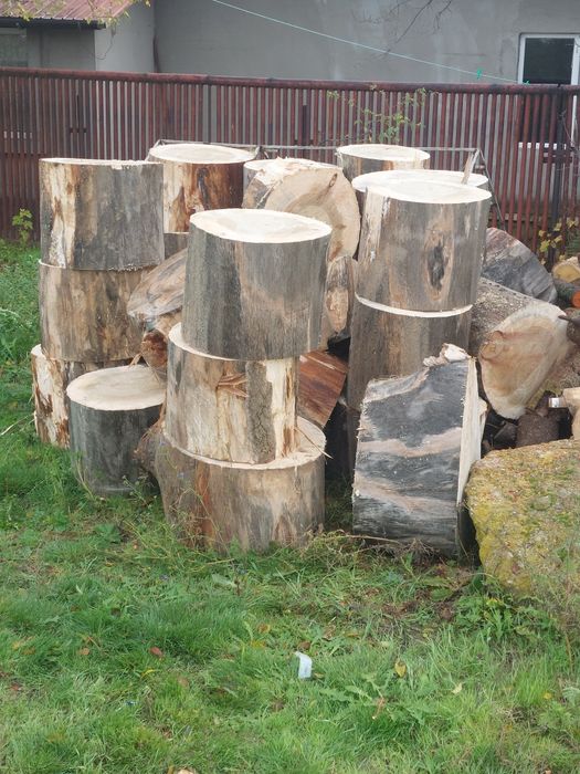 Vind lemne amestecate plop și corcodușe are în jur de 4 tone tote