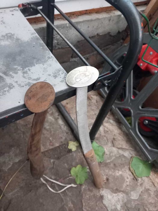 Кльонк за сом, два вида