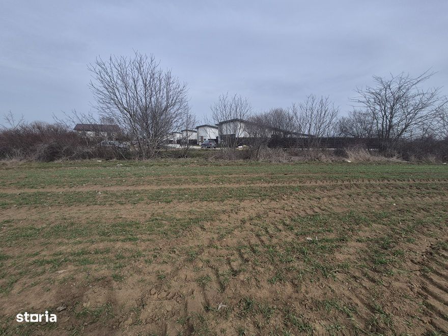 Teren intravilan ieftin Balotesti, 1100 mp, 25000 euro