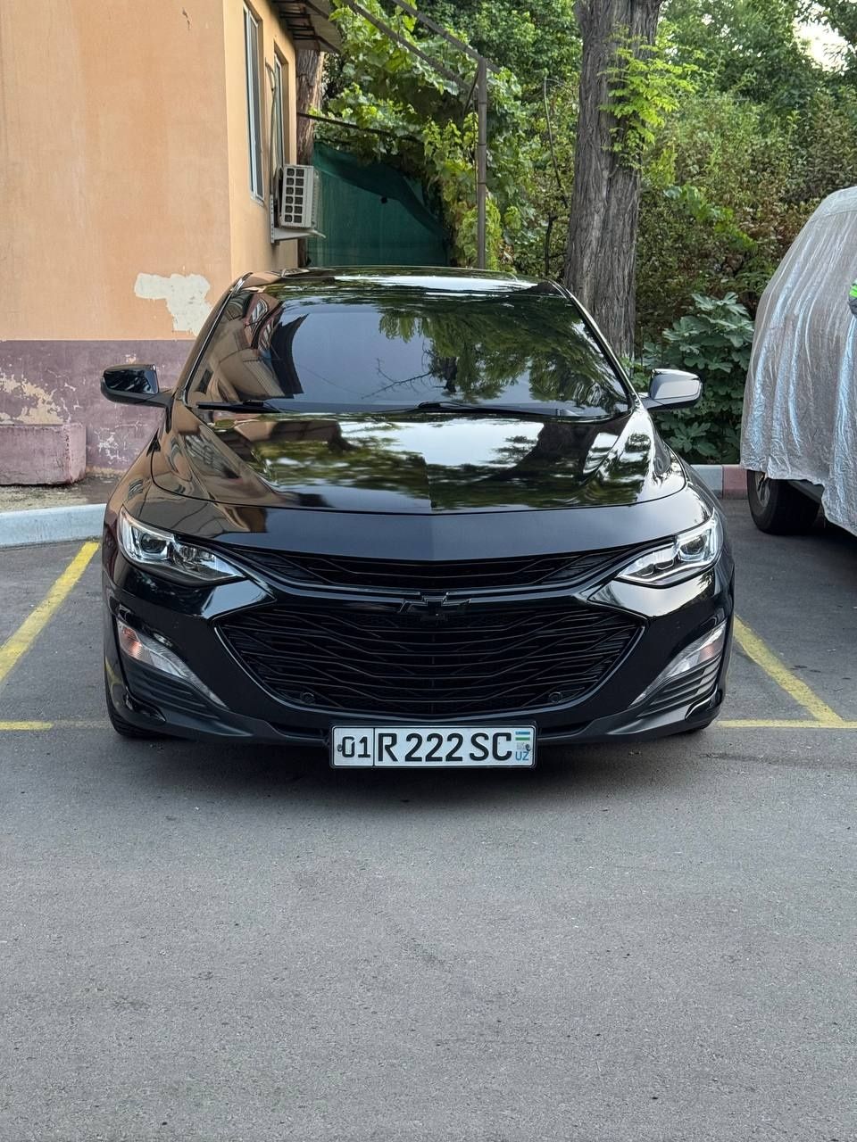 Malibu primer 2021 black edition