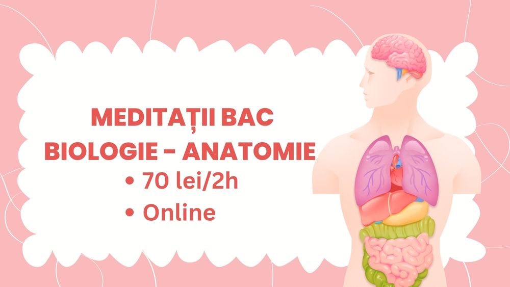 Meditații BAC anatomie (cls. XI-XII)