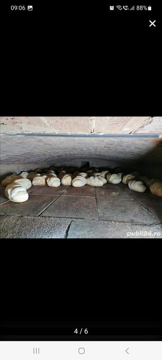 Brutarie traditionala