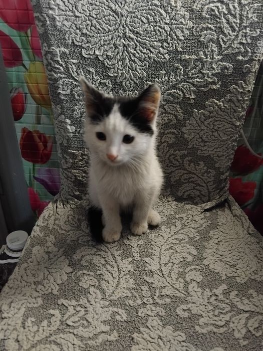 Красивый мальчуган