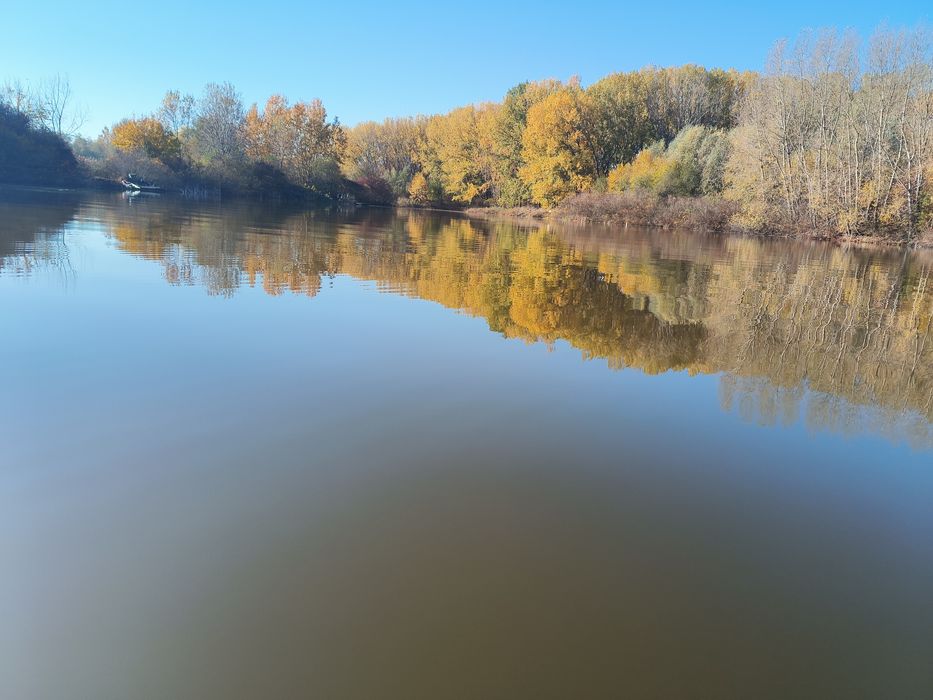 Afacere /Lac pescuit 19,5ha de VANZARE