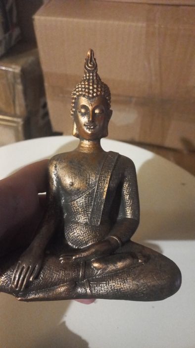 Буди от Холандия