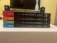 Атласи по Анатомия на човека Синелников