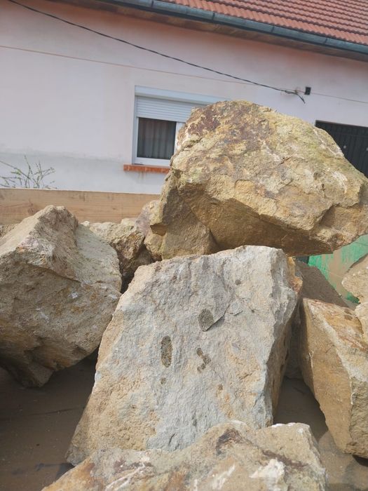 Vand bolovani ornamentali