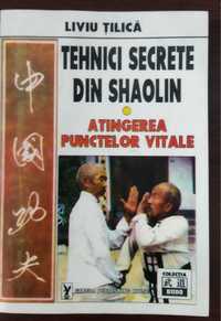Carte Tehnici secrete din Shaolin, Atingerea punctelor vitale
