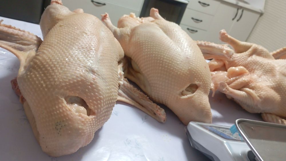 Продам тушки гусей