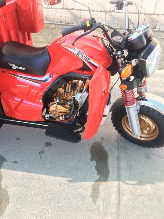 Lochin Moto 300sm³ Yangidek