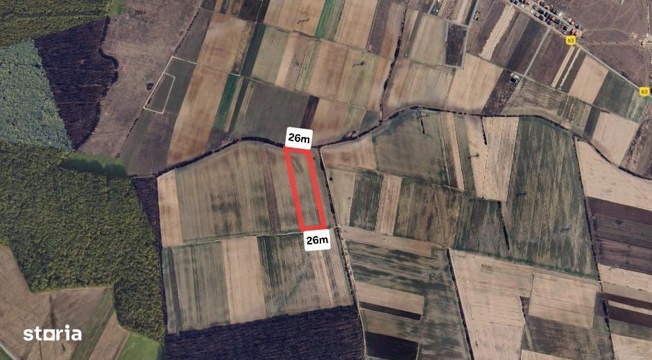 Gaminvest Teren Extravilan langa Padurea Nojorid 5800 mp , Bihor V4197