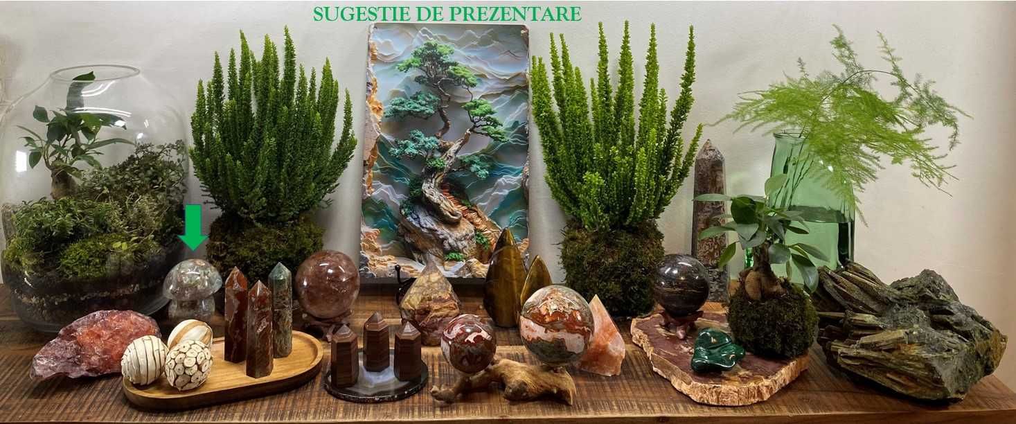 Cristale/Minerale - Jasp Oceanic - ciuperca piatra semipretioasa