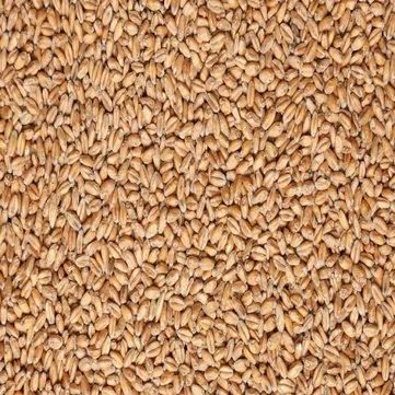 Продам пшеницу в мешках