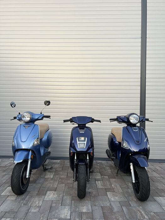 Scuter Beeline • Online Tapo ~ Memory • 49 Cc 2T - 4 T