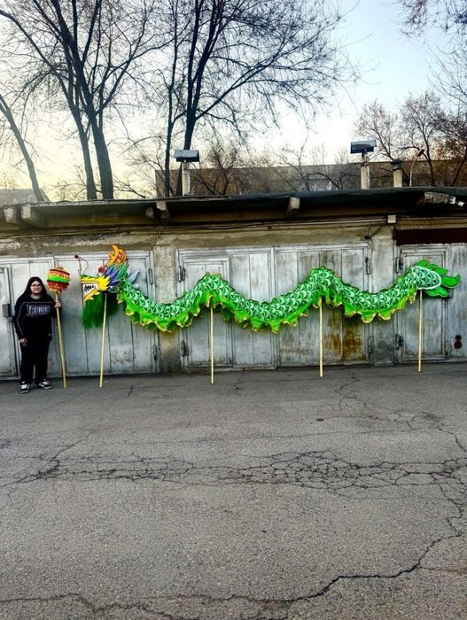 Продам большого светящегося китайского дракона