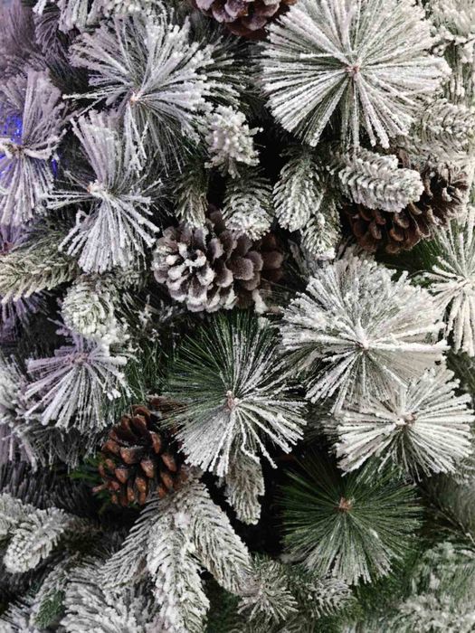 Коледно дърво ..