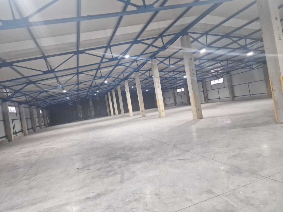 Depozit, hala depozitare, 300 sau 600 mp in Baia Mare