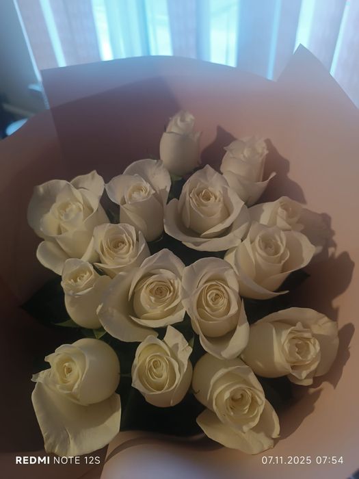 Цветы голландские розы большой свежий