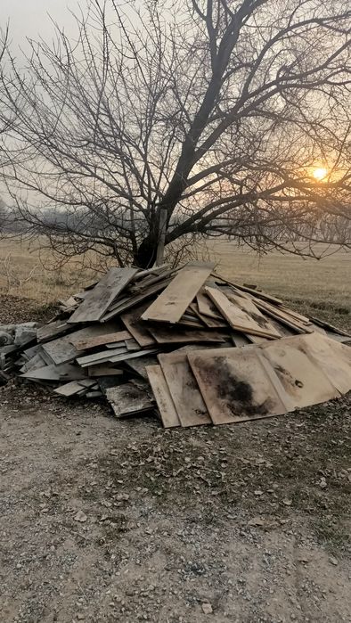 Дрова бесплатно. Отын тегін
