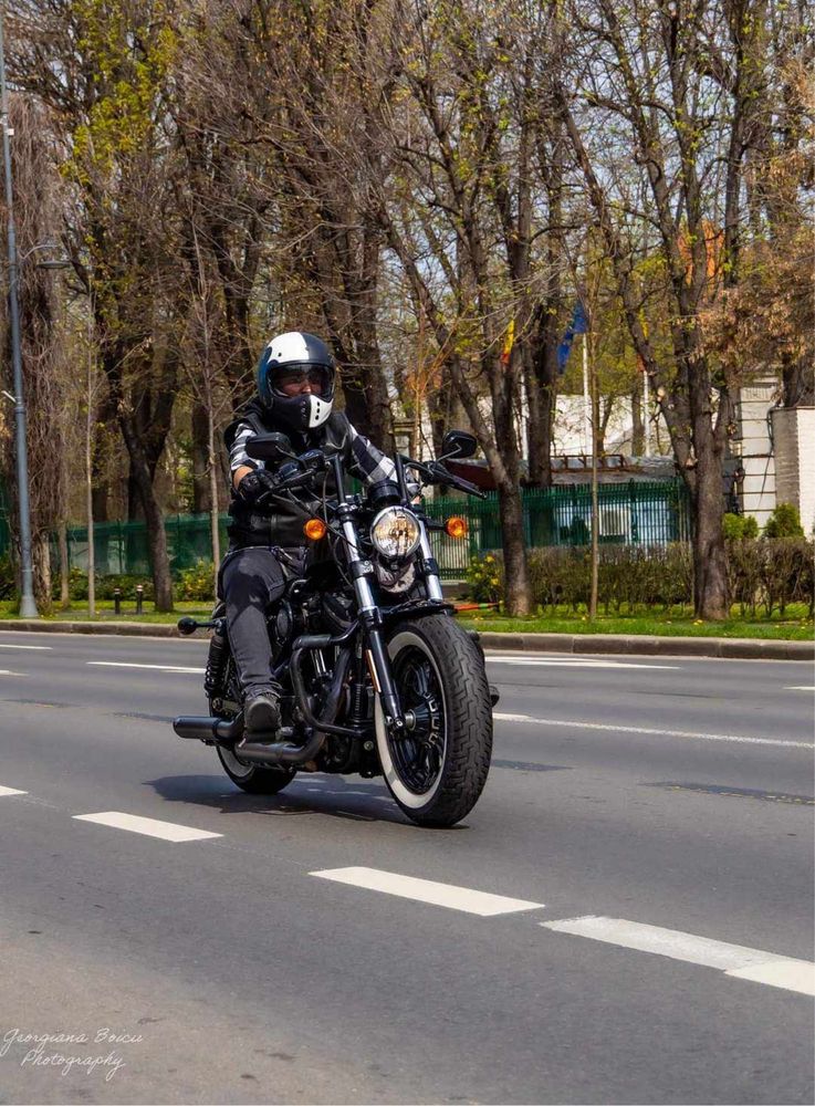 Harley Davidson Sportster Forty Eight