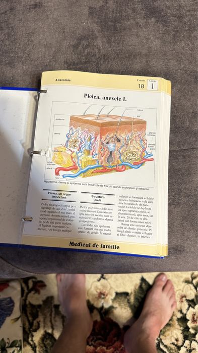 Medicul de familie Enciclopedia sănătății