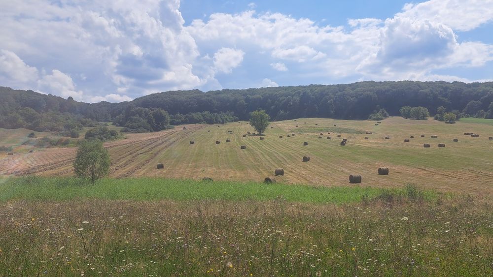 Vând baloți de fân