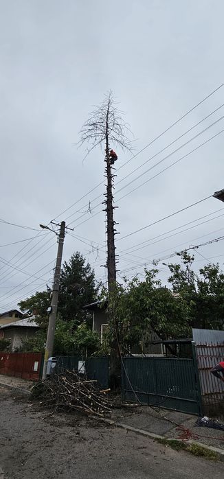 Alpiniști utilitari cu experiență de peste opt ani de zile în domeniu