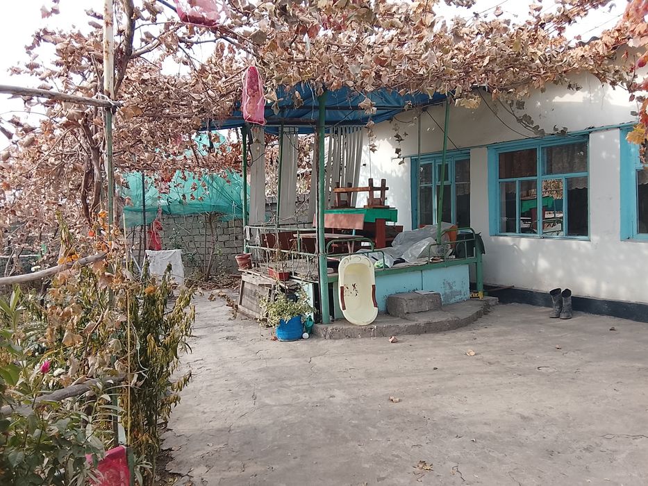 Срочна котта ховли сотилади