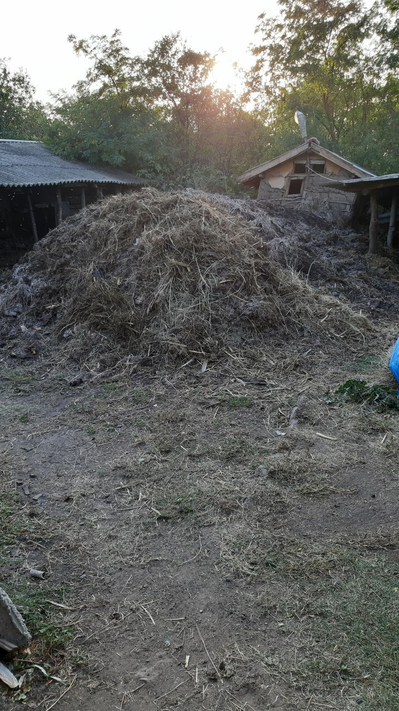 Gunoi de grajd (bălegar/mranita)