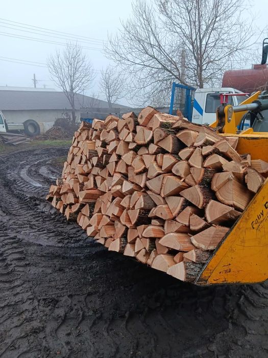 Lemn de foc esență tare