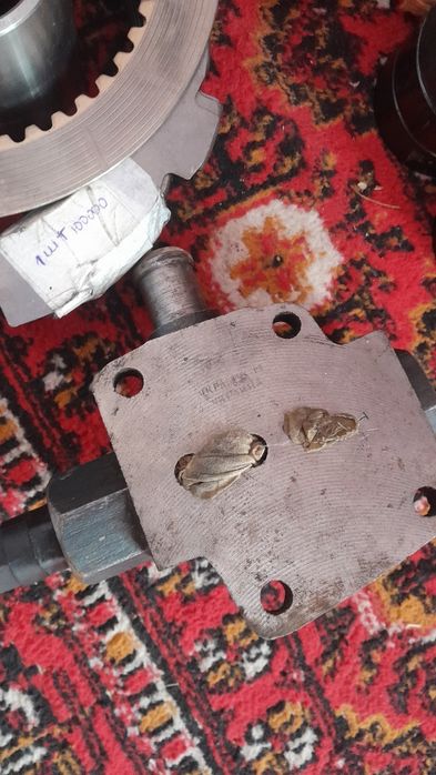 Zapchaslarimiz bor T150 xaxlaganingiz