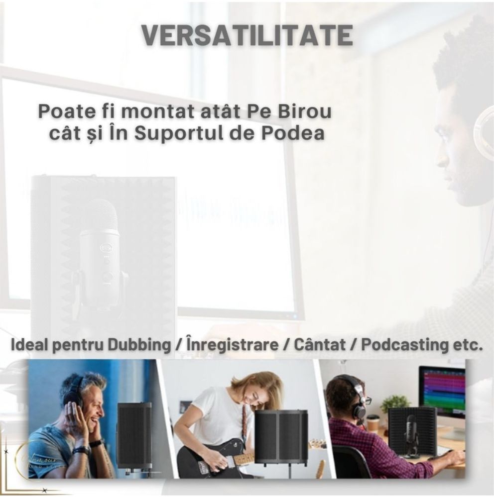 Izolare profesionala microfon