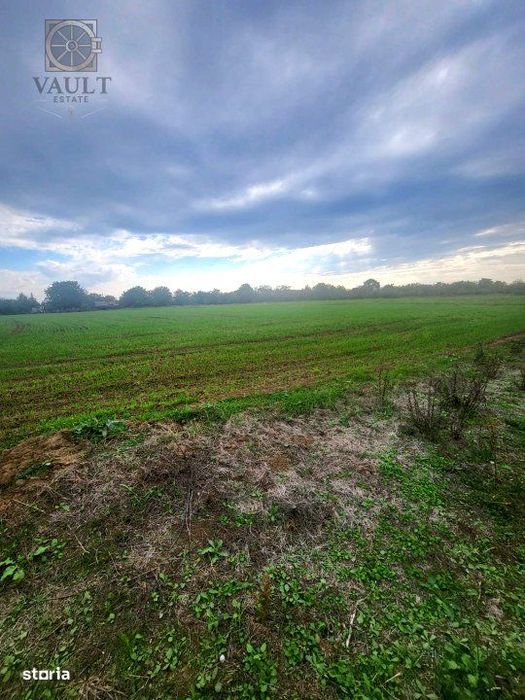 Teren Lucianca - Butimanu - deschidere la DN