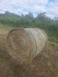 Baloti fan 120x120