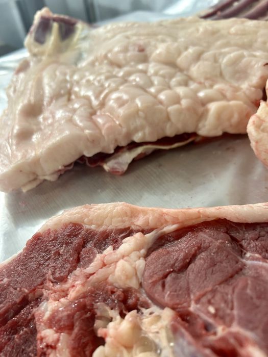 Согым. Мясо. Ет. Конина. Жылқының еті. Соғым. Лошадь. Тай