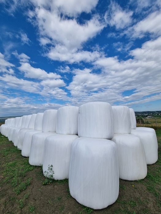 Baloți de lucernă,  fân,  borceag
