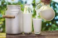 Молочные продукты  из домашнего молока
