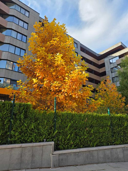 1-ст апартамент с панорама, до метро