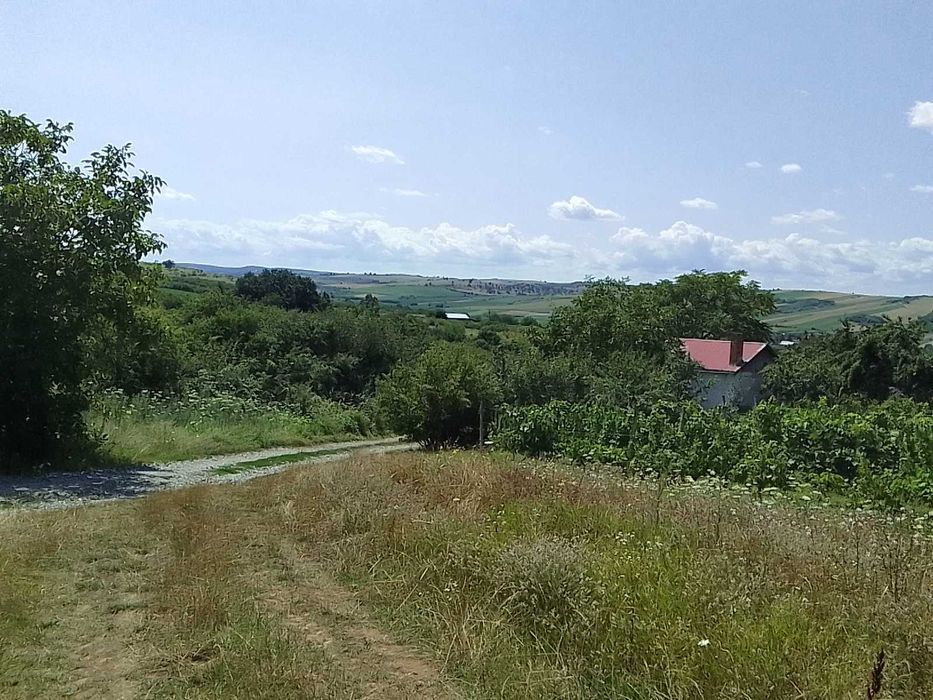 Teren extravilan arabil cu livada si vie la 15 min de baile Tasnad