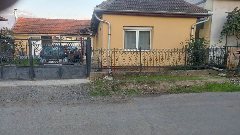 Vând gard și poarta